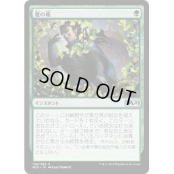 画像1: 【JPN】夏の帳/Veil of Summer[MTG_M20_198U]