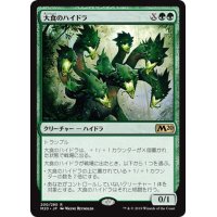 ★プレリリースFOIL★【JPN】大食のハイドラ/Voracious Hydra[MTG_M20_200R]