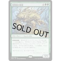 【JPN】★Foil★覚醒根の精霊/Wakeroot Elemental[MTG_M20_202R]