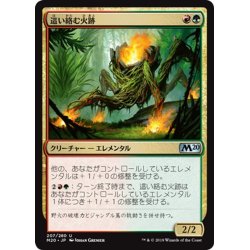 画像1: 【JPN】這い絡む火跡/Creeping Trailblazer[MTG_M20_207U]