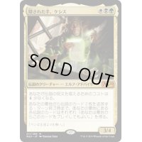 【JPN】隠された手、ケシス/Kethis, the Hidden Hand[MTG_M20_211M]