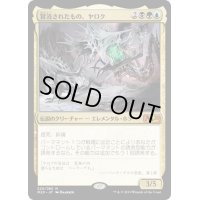 【JPN】★Foil★冒涜されたもの、ヤロク/Yarok, the Desecrated[MTG_M20_220M]