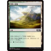 【JPN】花咲く砂地/Blossoming Sands[MTG_M20_243C]