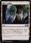 【JPN】進化する未開地/Evolving Wilds[MTG_M20_246C]