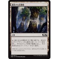 【JPN】進化する未開地/Evolving Wilds[MTG_M20_246C]