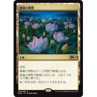 【JPN】睡蓮の原野/Lotus Field[MTG_M20_249R]