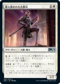 【JPN】鍛え抜かれた古参兵/Tempered Veteran[MTG_M21_041U]