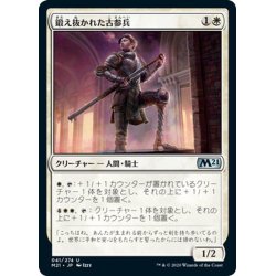 画像1: 【JPN】鍛え抜かれた古参兵/Tempered Veteran[MTG_M21_041U]