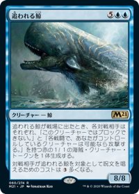 【JPN】★Foil★追われる鯨/Pursued Whale[MTG_M21_060R]