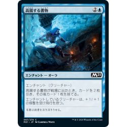 画像1: 【JPN】高揚する書物/Rousing Read[MTG_M21_067C]