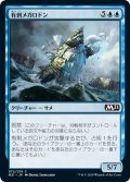 【JPN】有刺メガロドン/Spined Megalodon[MTG_M21_072C]