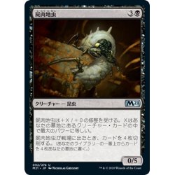 画像1: 【JPN】屍肉地虫/Carrion Grub[MTG_M21_092U]