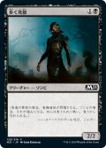 【JPN】歩く死骸/Walking Corpse[MTG_M21_128C]