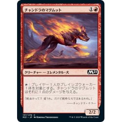 画像1: 【JPN】チャンドラのマグムット/Chandra's Magmutt[MTG_M21_137C]