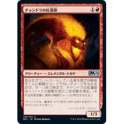 画像1: 【JPN】チャンドラの紅蓮獣/Chandra's Pyreling[MTG_M21_138U]