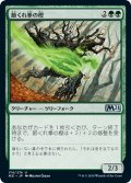 【JPN】節くれ拳の樫/Burlfist Oak[MTG_M21_174U]