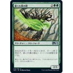 画像1: 【JPN】節くれ拳の樫/Burlfist Oak[MTG_M21_174U]