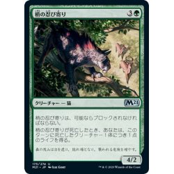 画像1: 【JPN】梢の忍び寄り/Canopy Stalker[MTG_M21_175U]