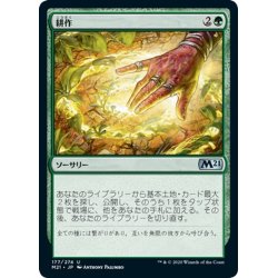 画像1: 【JPN】耕作/Cultivate[MTG_M21_177U]