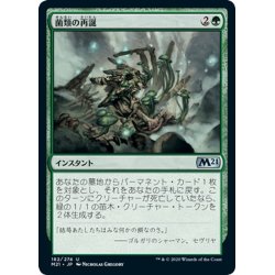 画像1: 【JPN】菌類の再誕/Fungal Rebirth[MTG_M21_182U]