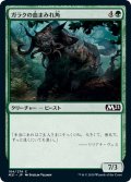 【JPN】ガラクの血まみれ角/Garruk's Gorehorn[MTG_M21_184C]