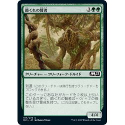 画像1: 【JPN】節くれの賢者/Gnarled Sage[MTG_M21_187C]