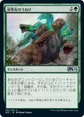 【JPN】活性化のうねり/Invigorating Surge[MTG_M21_190U]