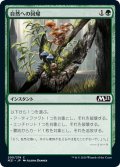 【JPN】自然への回帰/Return to Nature[MTG_M21_200C]