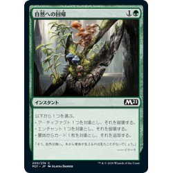 画像1: 【JPN】自然への回帰/Return to Nature[MTG_M21_200C]