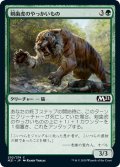 【JPN】剣歯虎のやっかいもの/Sabertooth Mauler[MTG_M21_202C]