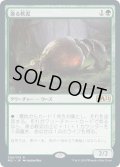 【JPN】漁る軟泥/Scavenging Ooze[MTG_M21_204R]