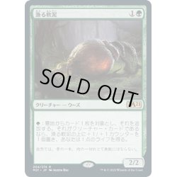 画像1: 【JPN】漁る軟泥/Scavenging Ooze[MTG_M21_204R]