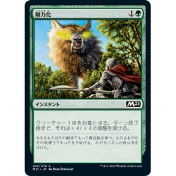 画像1: 【JPN】剛力化/Titanic Growth[MTG_M21_210C]