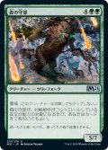 【JPN】森の守部/Warden of the Woods[MTG_M21_213U]