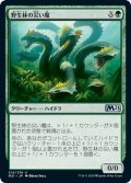 【JPN】野生林の災い魔/Wildwood Scourge[MTG_M21_214U]