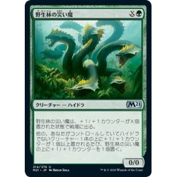 画像1: 【JPN】野生林の災い魔/Wildwood Scourge[MTG_M21_214U]