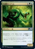 【JPN】知識鱗のコアトル/Lorescale Coatl[MTG_M21_221U]