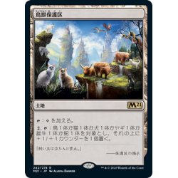 画像1: 【JPN】鳥獣保護区/Animal Sanctuary[MTG_M21_242R]