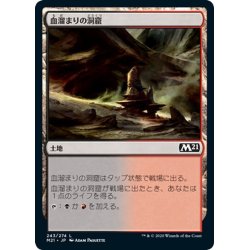 画像1: 【JPN】血溜まりの洞窟/Bloodfell Caves[MTG_M21_243C]