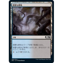 画像1: 【JPN】陰鬱な僻地/Dismal Backwater[MTG_M21_245C]