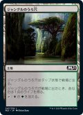 【JPN】ジャングルのうろ穴/Jungle Hollow[MTG_M21_247C]