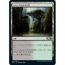 画像1: 【JPN】ジャングルのうろ穴/Jungle Hollow[MTG_M21_247C]