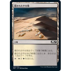 画像1: 【JPN】磨かれたやせ地/Scoured Barrens[MTG_M21_250C]