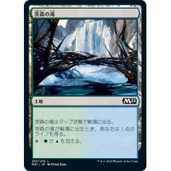 画像1: 【JPN】茨森の滝/Thornwood Falls[MTG_M21_257C]