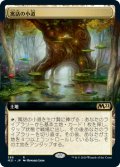 【JPN】寓話の小道/Fabled Passage[MTG_M21_386R]