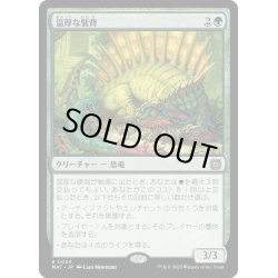 画像1: 【JPN】★Foil★温厚な襞背/Tranquil Frillback[MTG_MAT_0024R]