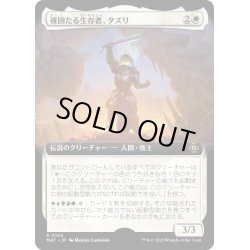 画像1: 【JPN】確固たる生存者、タズリ/Tazri, Stalwart Survivor[MTG_MAT_0154R]