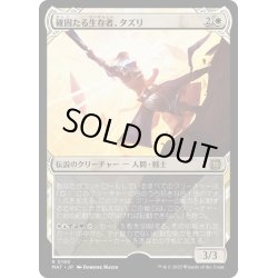 画像1: 【JPN】★Halo Foil★確固たる生存者、タズリ/Tazri, Stalwart Survivor[MTG_MAT_0190R]