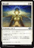 【JPN】聖なる顔/Face of Divinity[MTG_MH1_008U]