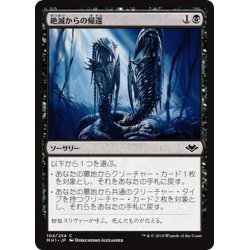 画像1: 【JPN】絶滅からの帰還/Return from Extinction[MTG_MH1_104C]